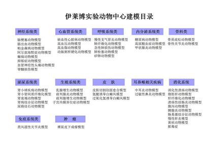 大中小型动物实验概述