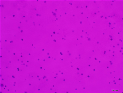 s_637607486423295325_3.jpg