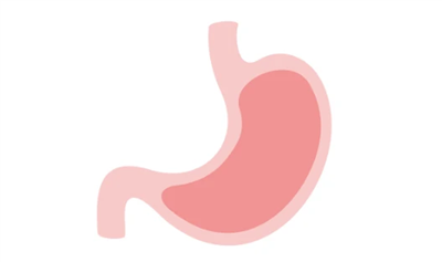 胃类器官