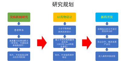 小分子化合物设计